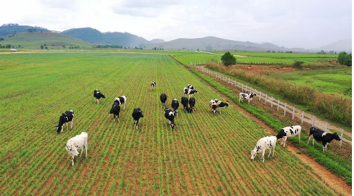 Vinamilk[-]vào[-]Top[-]5[-]cổ[-]phiếu[-]đáng[-]quan[-]tâm[-]của[-]Đông[-]Nam[-]Á[-]